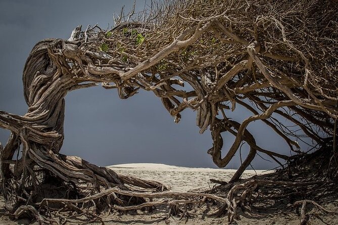 Jericoacoara Tour in 1 Day - Lagoa do Paraiso: the best time block on the schedule