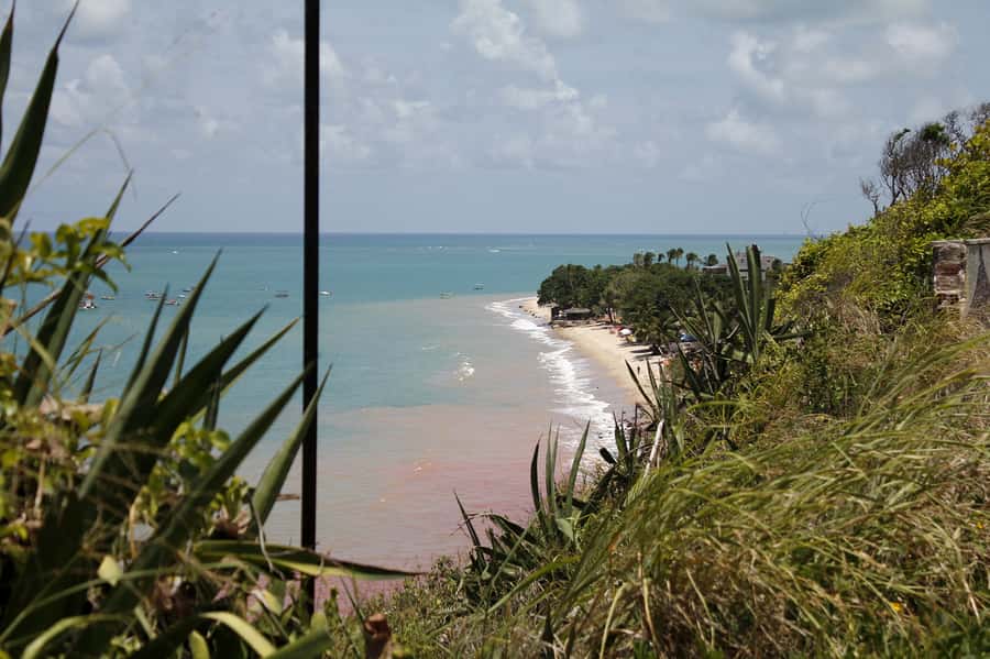 Joao Pessoa City Tour - Price and value: what $13 buys you in João Pessoa