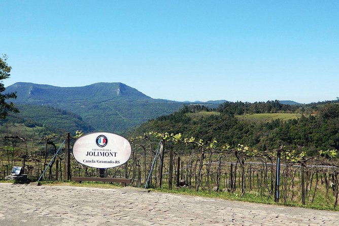 Jolimont Winery Tour - Visitation and Tasting - Canela RS - Should You Book? My Practical Recommendation for Jolimont