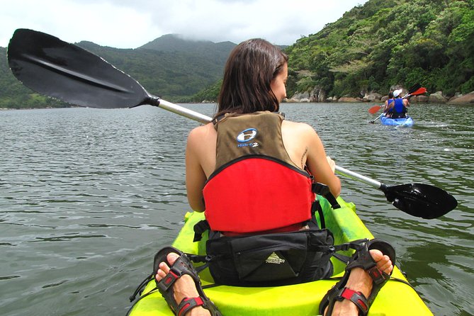 Kayak Water Trail in Red River Park by Adrenailha - Key highlights you will actually feel on the water