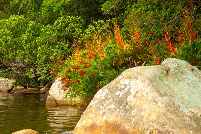 Kayak Water Trail in Red River Park by Adrenailha - Stop 2 and 3: Lagoa da Conceição (the basin part you will remember)