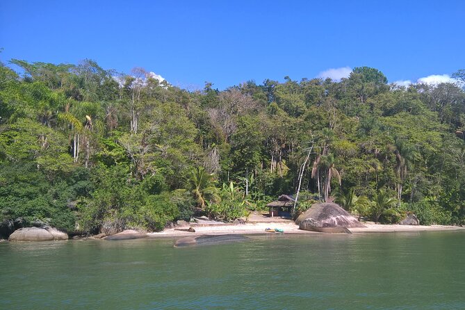 Kayaking Mangroves tour ( Natural Reserve ) - Kayaking Mangroves in Paraty: what makes it feel special