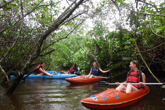Kayaking Mangroves tour ( Natural Reserve ) - When weather throws a curveball