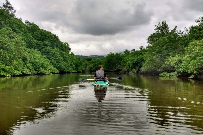 Kayaking to the mangroves - Key highlights I’d plan around