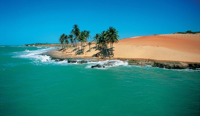 Lagoinha Beach from Fortaleza - Choosing your dune adventure: buggy rides and horseback options