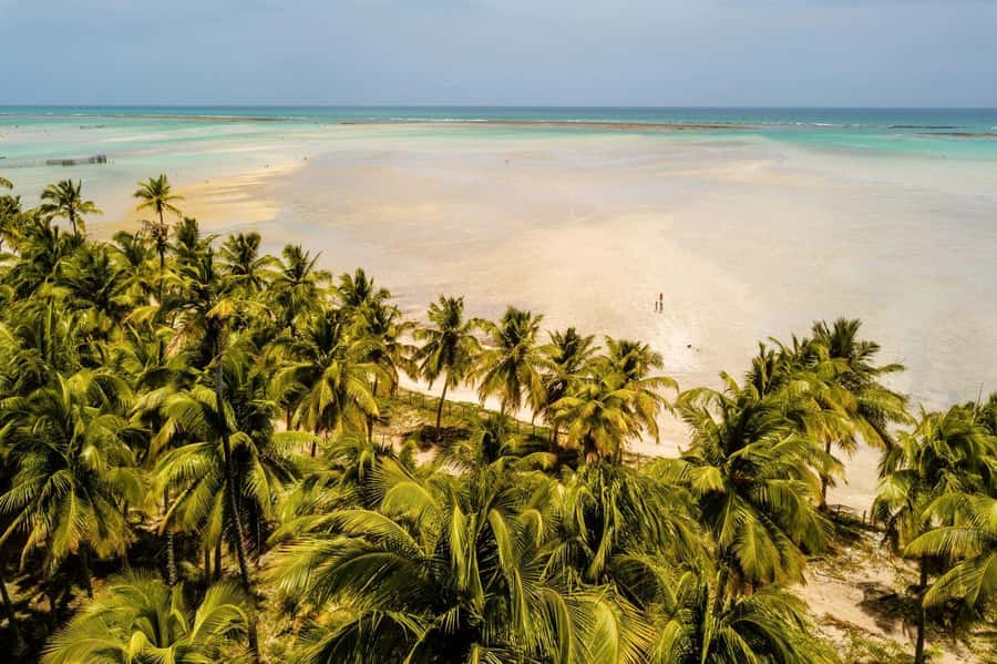 Maceio: Tour to Maragogi Beach - Key Things to Know Before You Go
