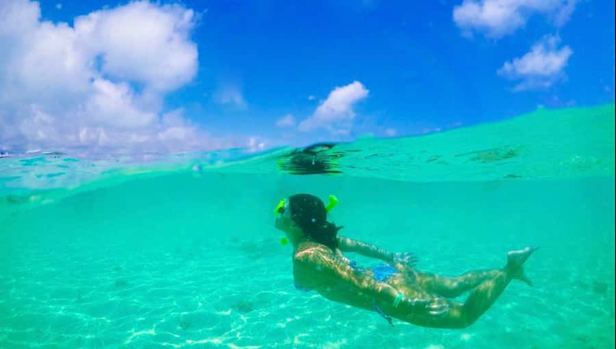 Maceio: Tour to Maragogi Beach - The Restaurant Starting Point and Typical Lunch Options