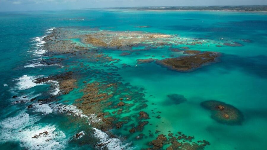 Maceio: Tour to Maragogi Beach - Snorkeling Equipment, and what to bring for an easy day