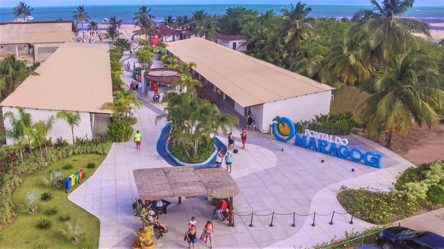 Maceio: Tour to Maragogi Beach - Group Vibes and the Language Reality, Portuguese often leads