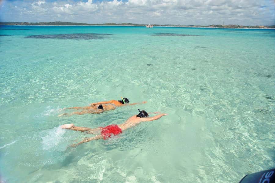 Maceio: Tour to Maragogi Beach - Price and Value for a $160 Day Trip With Extra Costs