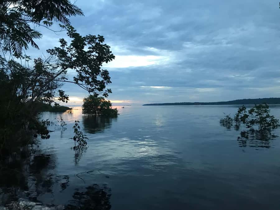 Manaus: 2-Day River Tour With Overnight Stay - From Manaus Into the Green: How the Day One Pace Works