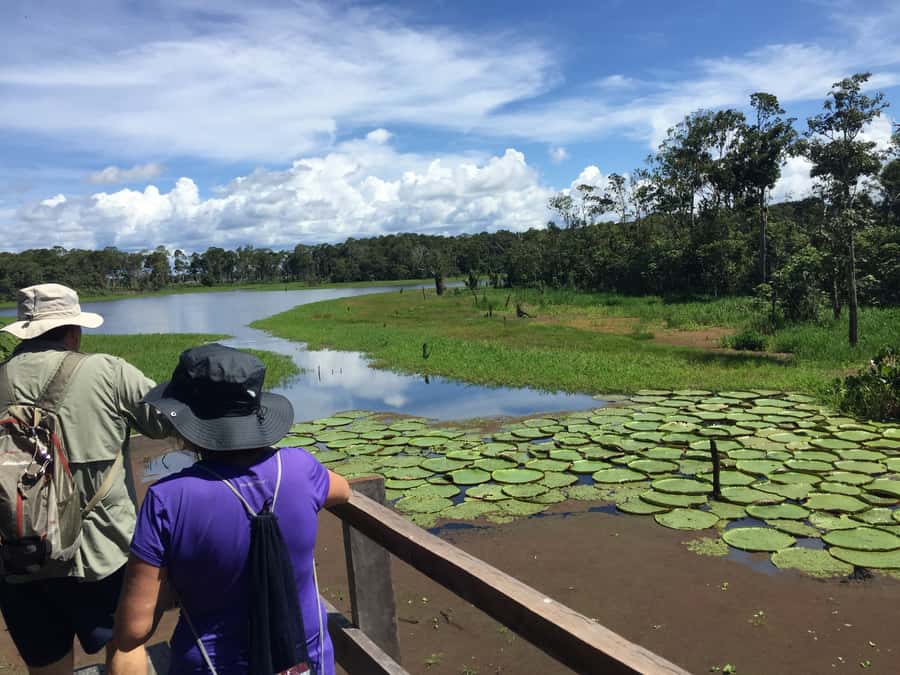 Manaus: 2-Day River Tour With Overnight Stay - After Lunch Paddle, Canoe Time, and Piranha Fishing at Sunset