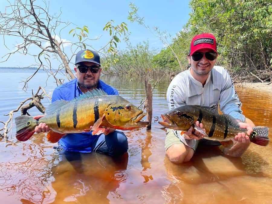 Manaus : A day of fishing on the Rio Negro - Lunch at a Floating Restaurant: Where the Break Makes Sense
