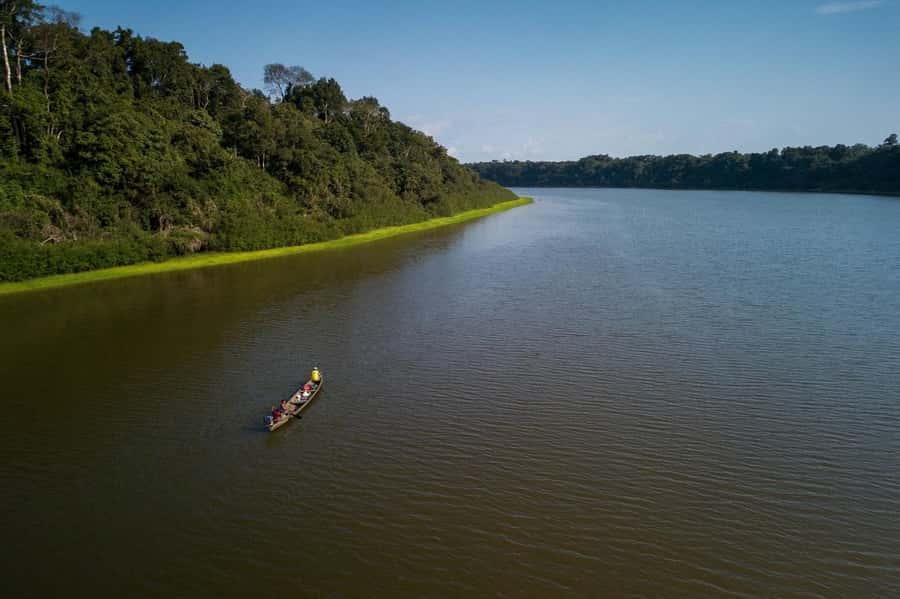 Manaus : A day of fishing on the Rio Negro - After Lunch: The Afternoon Fishing Stretch
