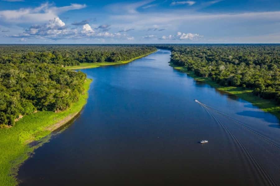 Manaus : A day of fishing on the Rio Negro - Who This Rio Negro Fishing Trip Fits Best