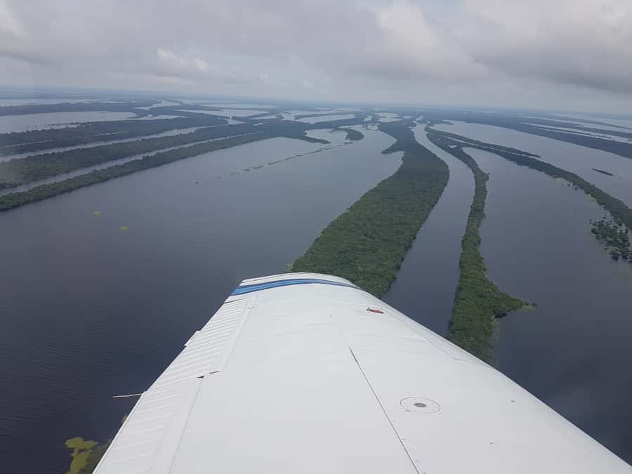 Manaus: Amazon Rainforest Panoramic Airplane Flight - Key things you will notice fast