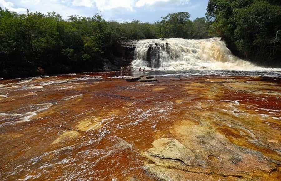 Manaus: Amazon Waterfalls Day Trip with Lunch - Price and Logistics: Is This Amazon Day Trip Worth $130?