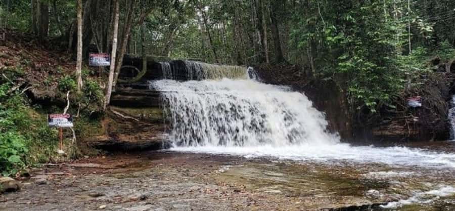 Manaus: Amazon Waterfalls Day Trip with Lunch - Guides and Group Size: What Pacing Feels Like