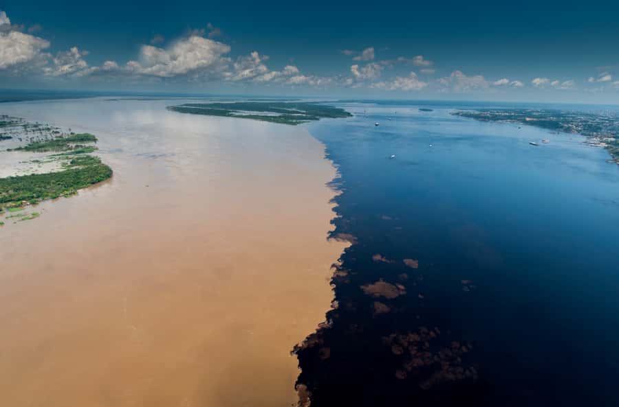 Manaus: Full-Day Tour on the Amazon River - Victoria Regia and canoe time: the lily pads people come for