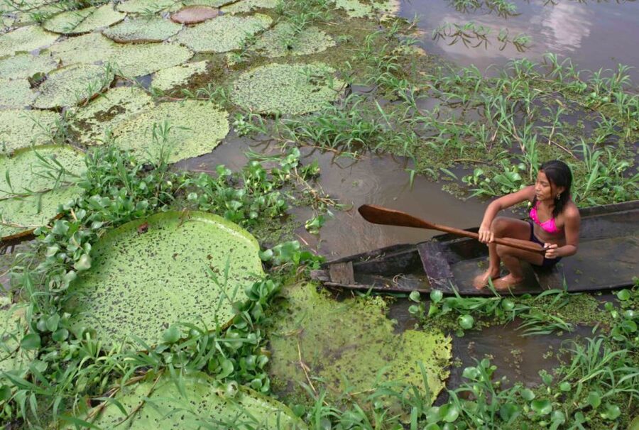 Manaus: Full-Day Tour on the Amazon River - Dessanos and Tucanos village visit: culture with more than a quick stop