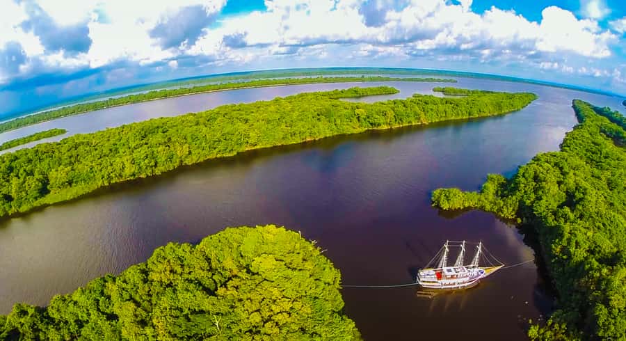 Manaus: Full-Day Tour on the Amazon River - Lake January: the Amazon and Rio Negro meet up close