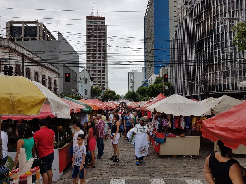 Manaus: Half-Day City Tour - Panoramic Amazon River views, and why the beach stop matters