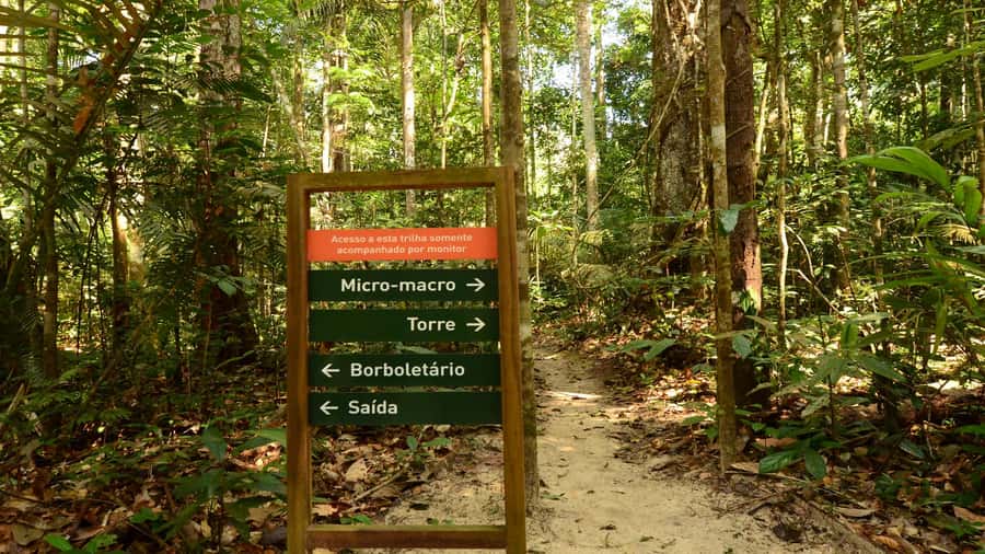 Manaus: Meeting of the Waters & Pink Dolphin Tour with Lunch - Indian village visit: Dessanos and Tucanos rituals and jungle “pharmacy”