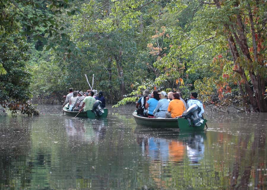 Manaus: Meeting of the Waters & Pink Dolphin Tour with Lunch - Price and value: is $75 for 6 hours a fair deal?