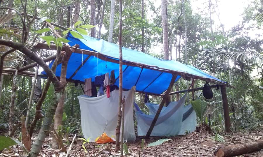 Manaus: Multi-Day Amazon Survival Trip with Camping - Rio Negro speed boat, Catalao, and feeding the Giant Arapaima gigas