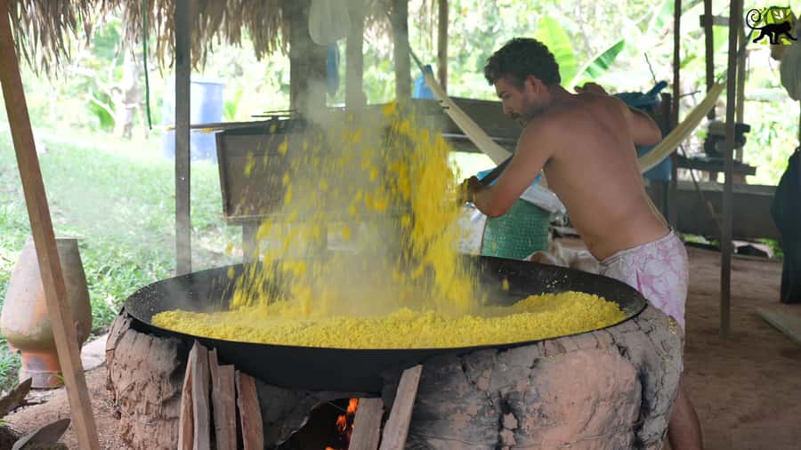 Manaus: Multi-Day Amazon Trip at Tapiri Floating Lodge - Wildlife and fishing reality check: caiman nights, dolphins, and the piranha story