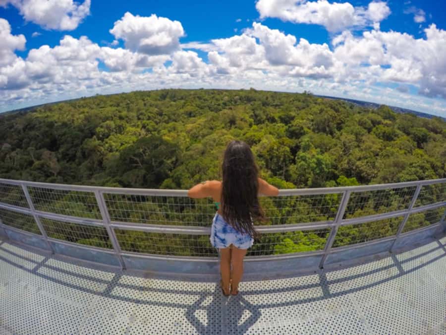 Manaus: MUSA and INPA Museums with Observation Tower Tour - Inside MUSA: Exhibits that Translate Forest Science