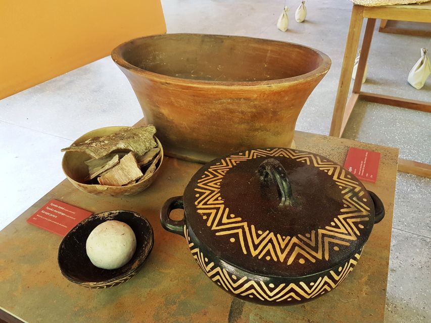 Manaus: MUSA and INPA Museums with Observation Tower Tour - What the Tour Actually Includes, and the Costs That Add Up
