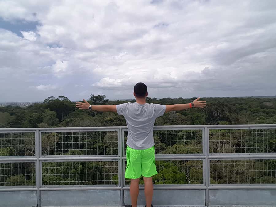 Manaus: MUSA and INPA Museums with Observation Tower Tour - Price and Logistics: Is It Worth Booking Through an Operator?