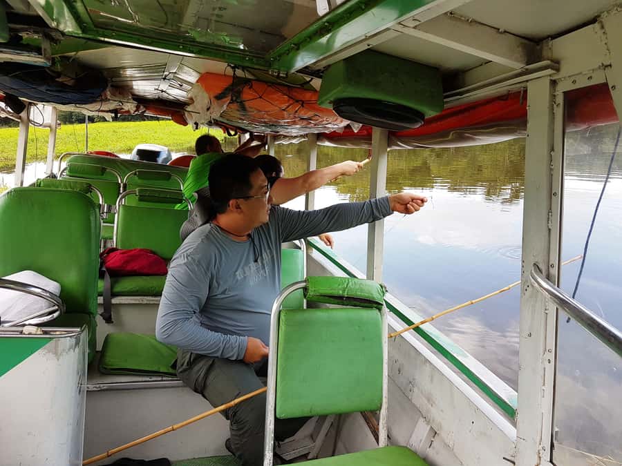 Manaus: Piranha Fishing and Alligator Watch Evening Tour - Key points at a glance