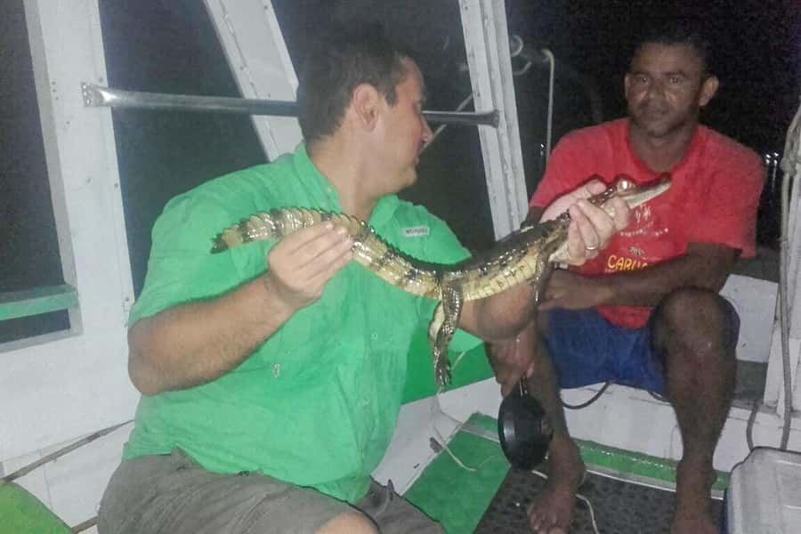 Manaus: Piranha Fishing and Alligator Watch Evening Tour - Who this tour suits best, and who might feel frustrated