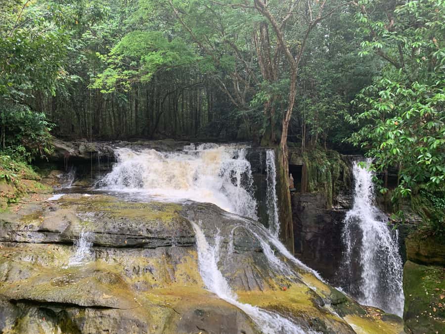Manaus: Presidente Figueiredo Caves and Waterfalls Tour - How Presidente Figueiredo Changes the Manaus Picture