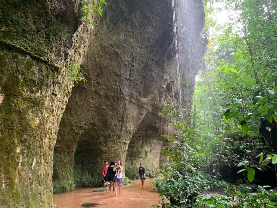 Manaus: Presidente Figueiredo Caves and Waterfalls Tour - Iracema Park Jungle Walk: Learning the Forest One Step at a Time
