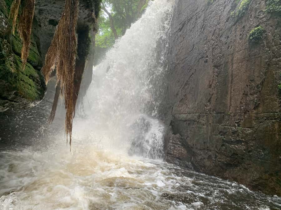 Manaus: Presidente Figueiredo Caves and Waterfalls Tour - Movie-Set Grottos: Where the Amazon Turns Dramatic