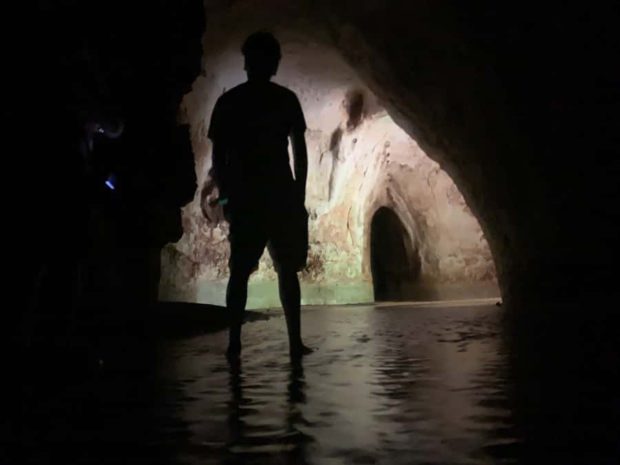Manaus: Presidente Figueiredo Caves and Waterfalls Tour - Lunch by Urubuí Rapids: Fish, Regional Food, and a Fair Value