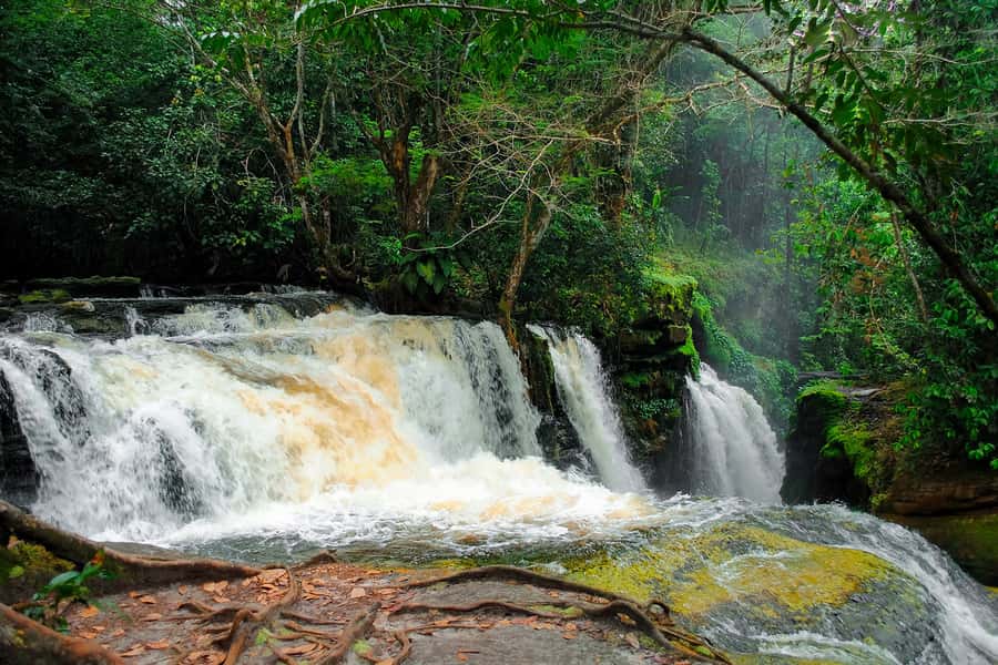 Manaus: Presidente Figueiredo Caves and Waterfalls Tour - The 8:00 AM Start, Pickup, and Why It Matters