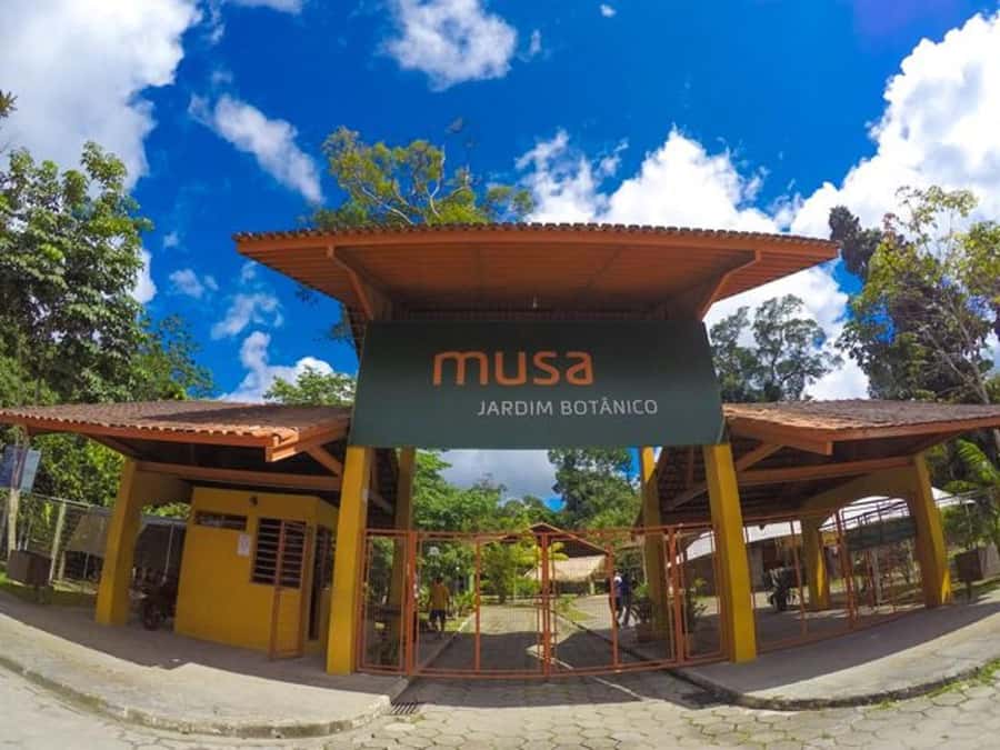 Manaus : Visit to MUSA (Amazon Museum) - Price and logistics for this 6-hour tour in Manaus