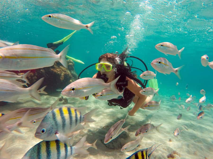 Maracajau Parrachos Reef: Mask and Snorkel swim adventure - Key highlights to know before you go