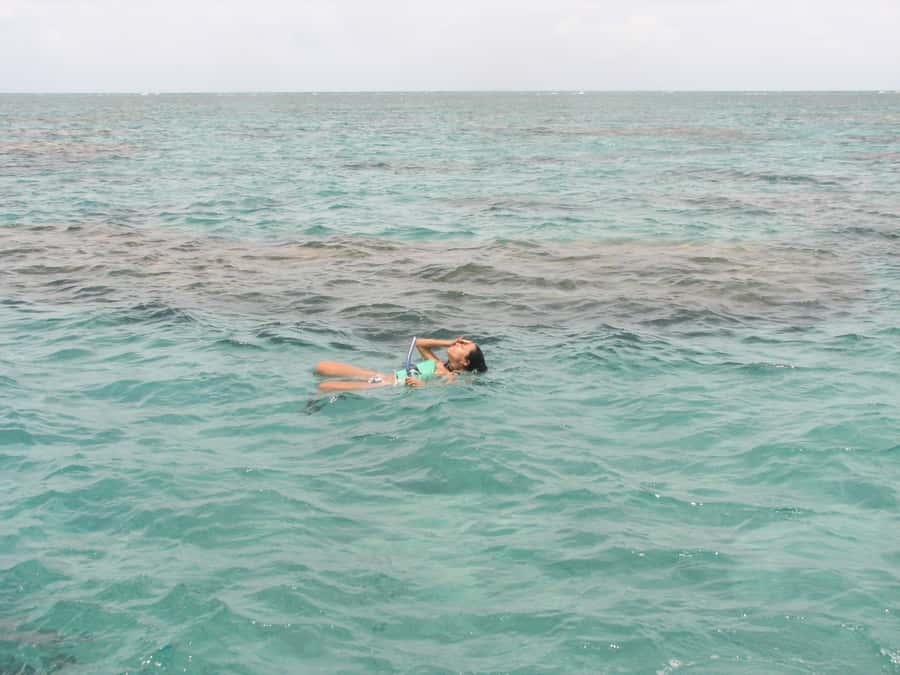 Maracajau Parrachos Reef: Mask and Snorkel swim adventure - Swim-up floating platforms: why they matter if you are not experienced