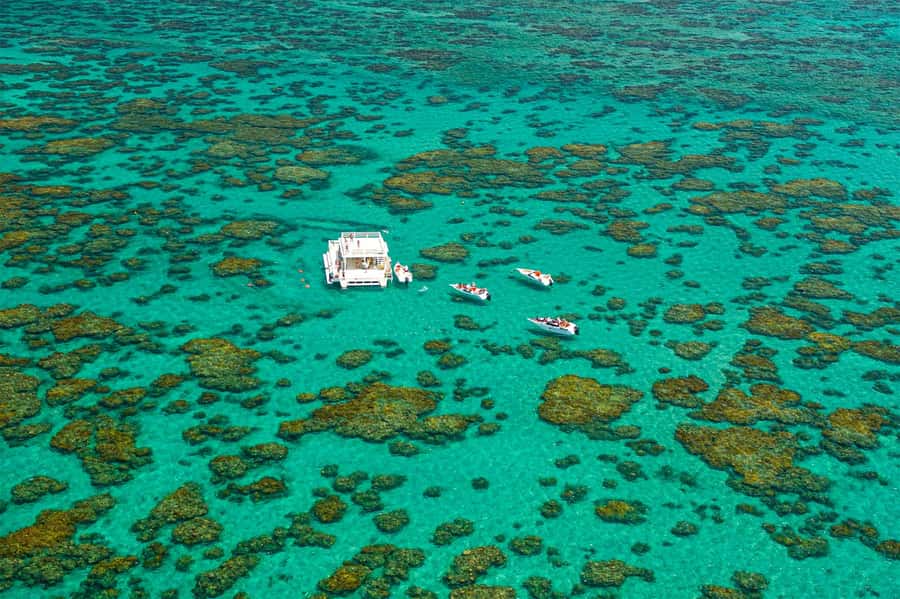 Maracajau Parrachos Reef: Mask and Snorkel swim adventure - The land break after the reef: beach time, optional buggy, and your 2-hour window