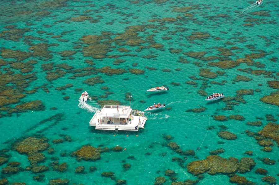 Maracajau Parrachos Reef: Mask and Snorkel swim adventure - Who this Maracajaú snorkeling trip suits best