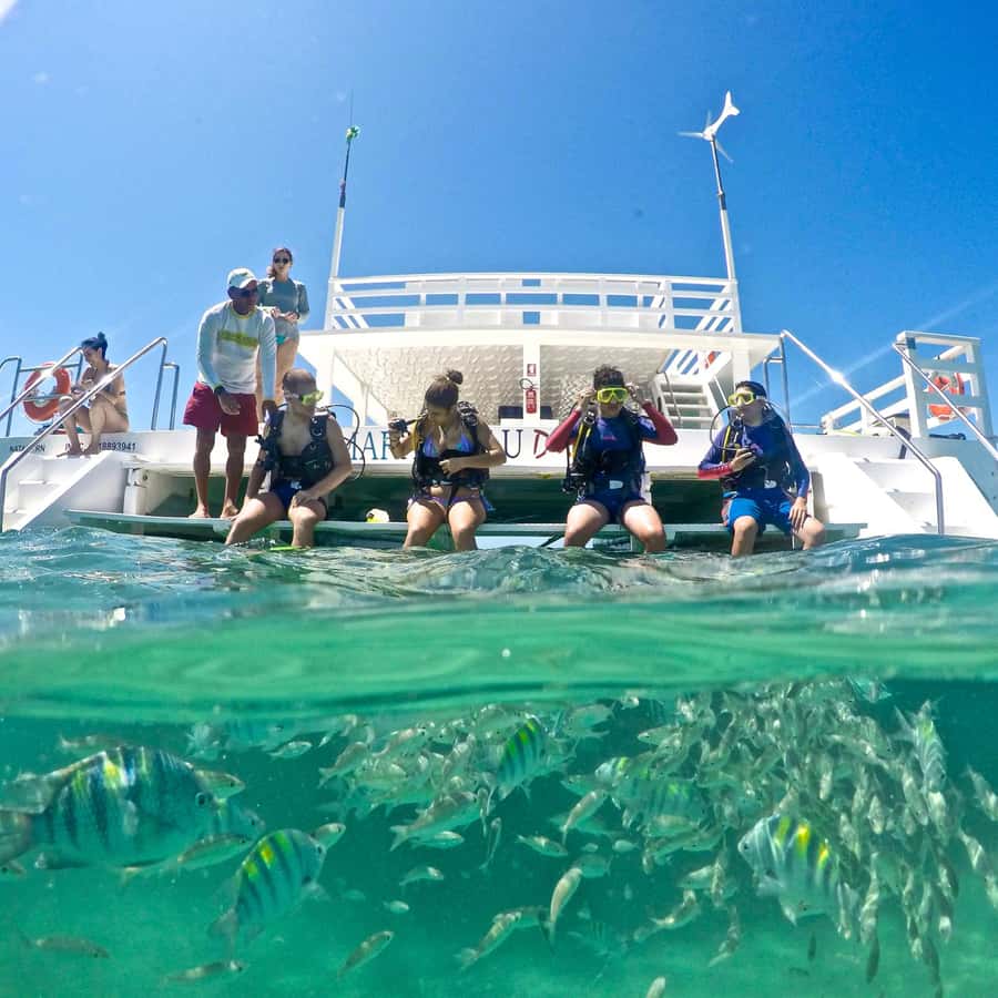 Maracajau Parrachos Reef: Mask and Snorkel swim adventure - The morning plan: 06:00 pickup, 08:00 departure, and tide timing