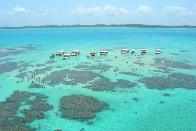 Maragogi / Alagoas Caribbean Brazilian - From Maceió pickup to the meeting point at Acqua Suits Pajuçara