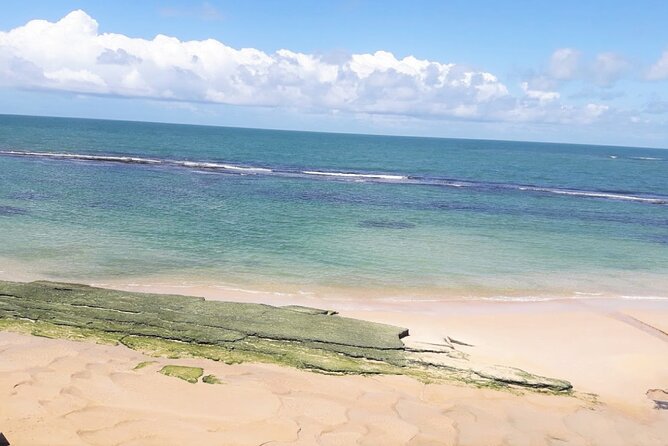 Marapé Dunes Excursion with Luck Receptivo Maceió - Who this tour is best for, and who should rethink it