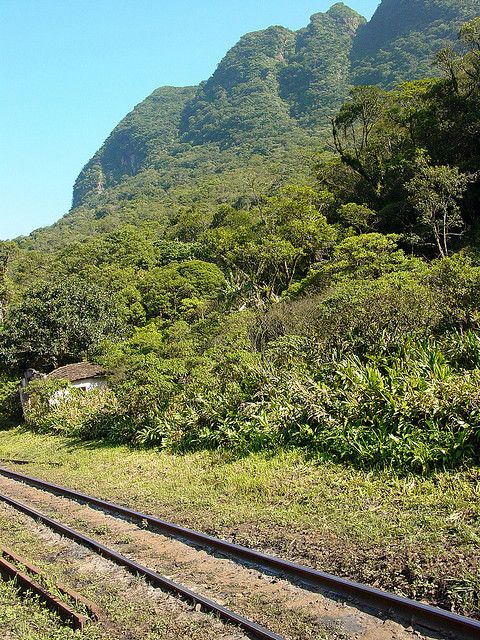Morretes: Full Day Colonial Town Tour from Curitiba - Timing, Transfers, and the Real Feel of a 9-Hour Day