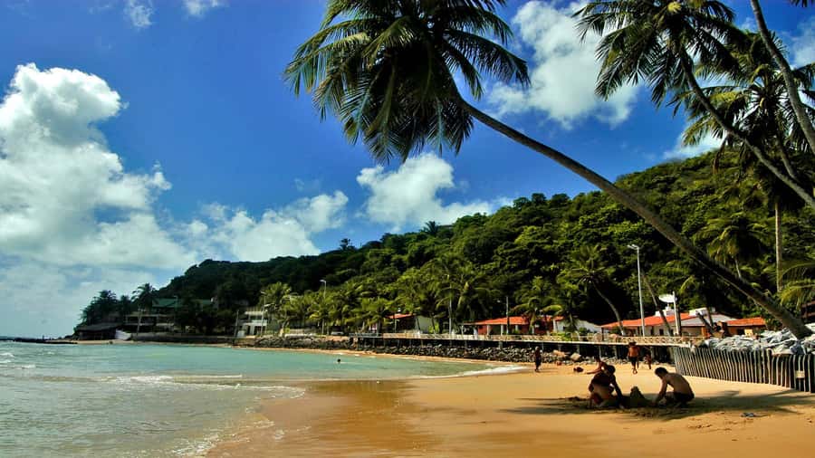 Natal: South Coast Day Tour by 4X4 with Pickup - Key things to know before you go